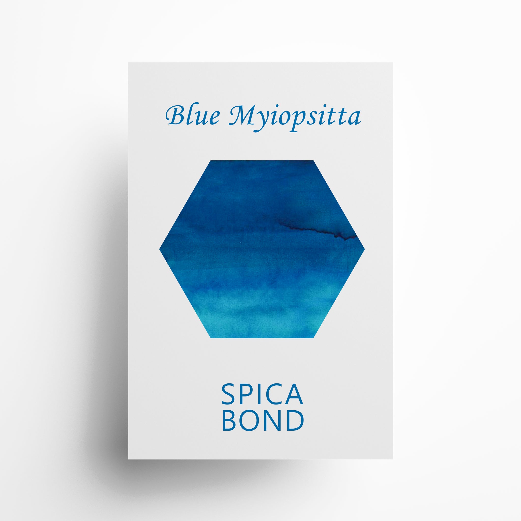 GazingFar homemade fountain pen ink-  Blue Myiopsitta, The color of freedom.